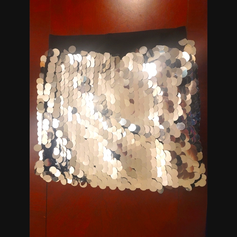 Silver Sequin Skirt
